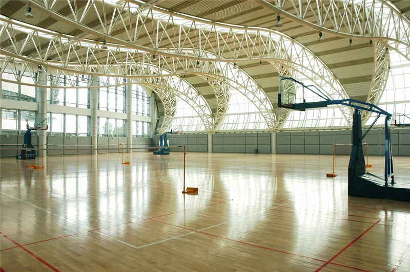 第10届全运会南京奥体中心相关场馆建设