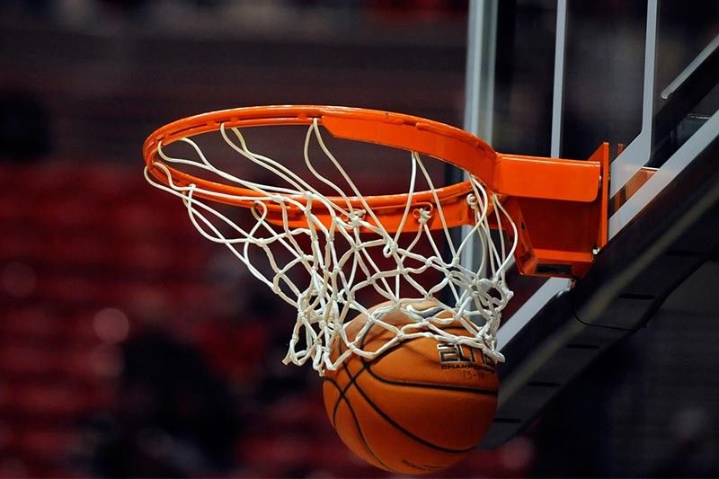 室内健身适合养什么绿植